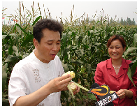 汉南邓丰鲜食农产品产销有限公司