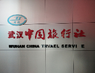 武汉中国旅行社有限公司