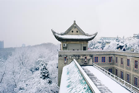 武汉大学雪景