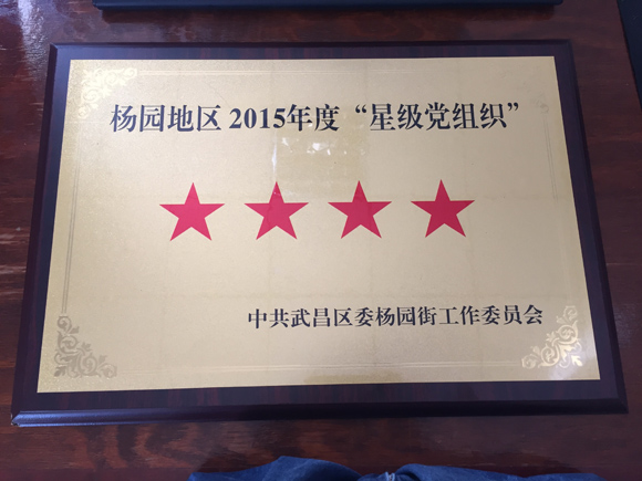 杨园地区2015年度“星级党组织”