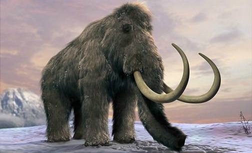 科学家欲复活猛犸象以保护北极冰川生态系统
