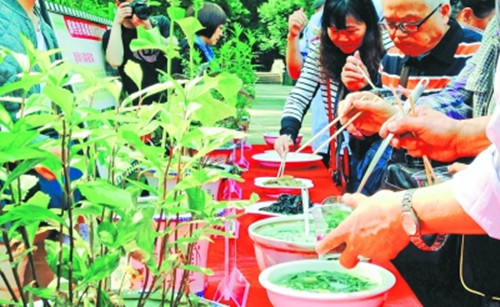 植物园请市民尝鲜“药用植物菜”