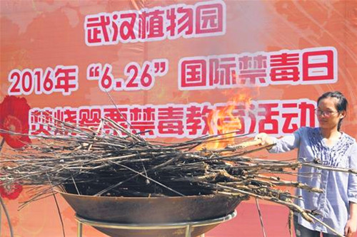 武汉植物园焚烧千株罂粟宣传毒品危害