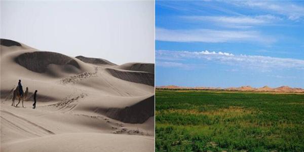 “死亡之海”变沙漠绿洲 菲媒点赞亿利治沙扶贫