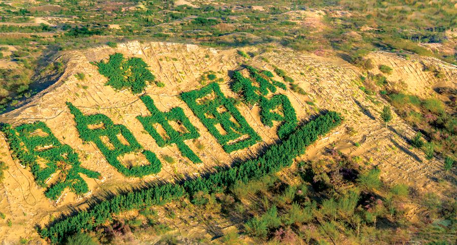 绿色中国梦 库布其30年治沙之路