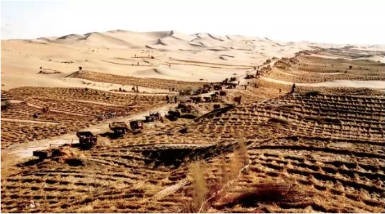 联合国环境署：库布其，我们的沙漠，我们的家园
