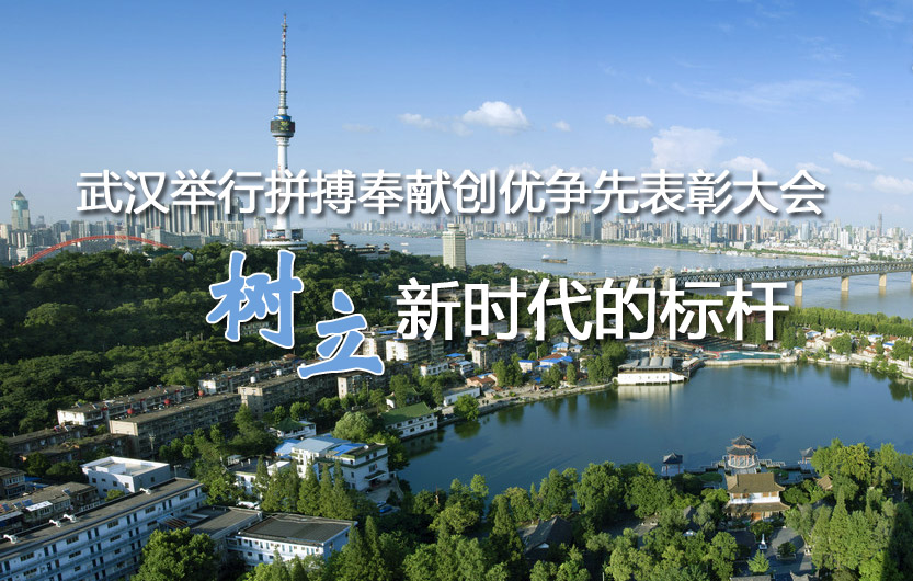 武汉举行拼搏奉献创优争先表彰大会