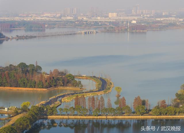 武汉市人大代表会前视察重点工程 东湖绿道一路美景引众人点赞