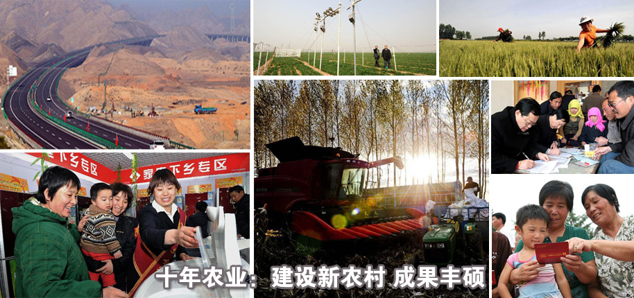 十年农业：建设新农村 成果丰硕